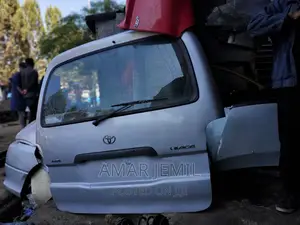 Dolphin(5L) Back Dijgi