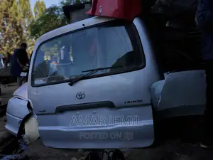 Dolphin(5L) Back Dijgi