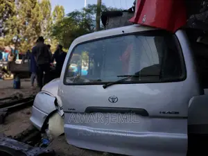 Dolphin(5L) Back Dijgi