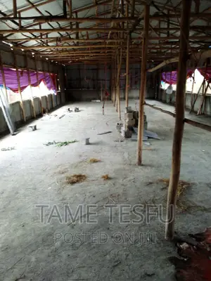 Furnished 5bdrm House in Wosene Wenderad, Yeka for rent