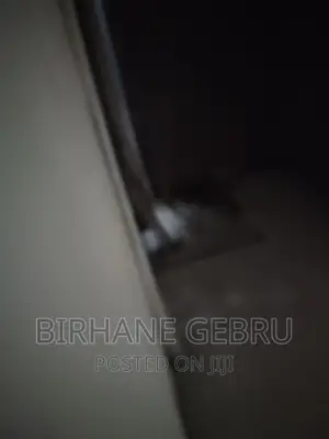 6bdrm House in G+3 Rent House, Bole for rent