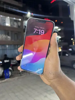 Apple iPhone 13 Pro 256 GB