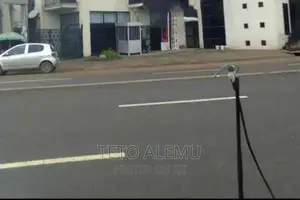 Photo - የሚሸጥ ቦታ ፌጋ ዋና አስፓልት ላይ ለገንቢዎች