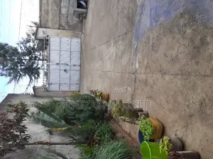 5bdrm House in Around Awoliya, Gullele for sale