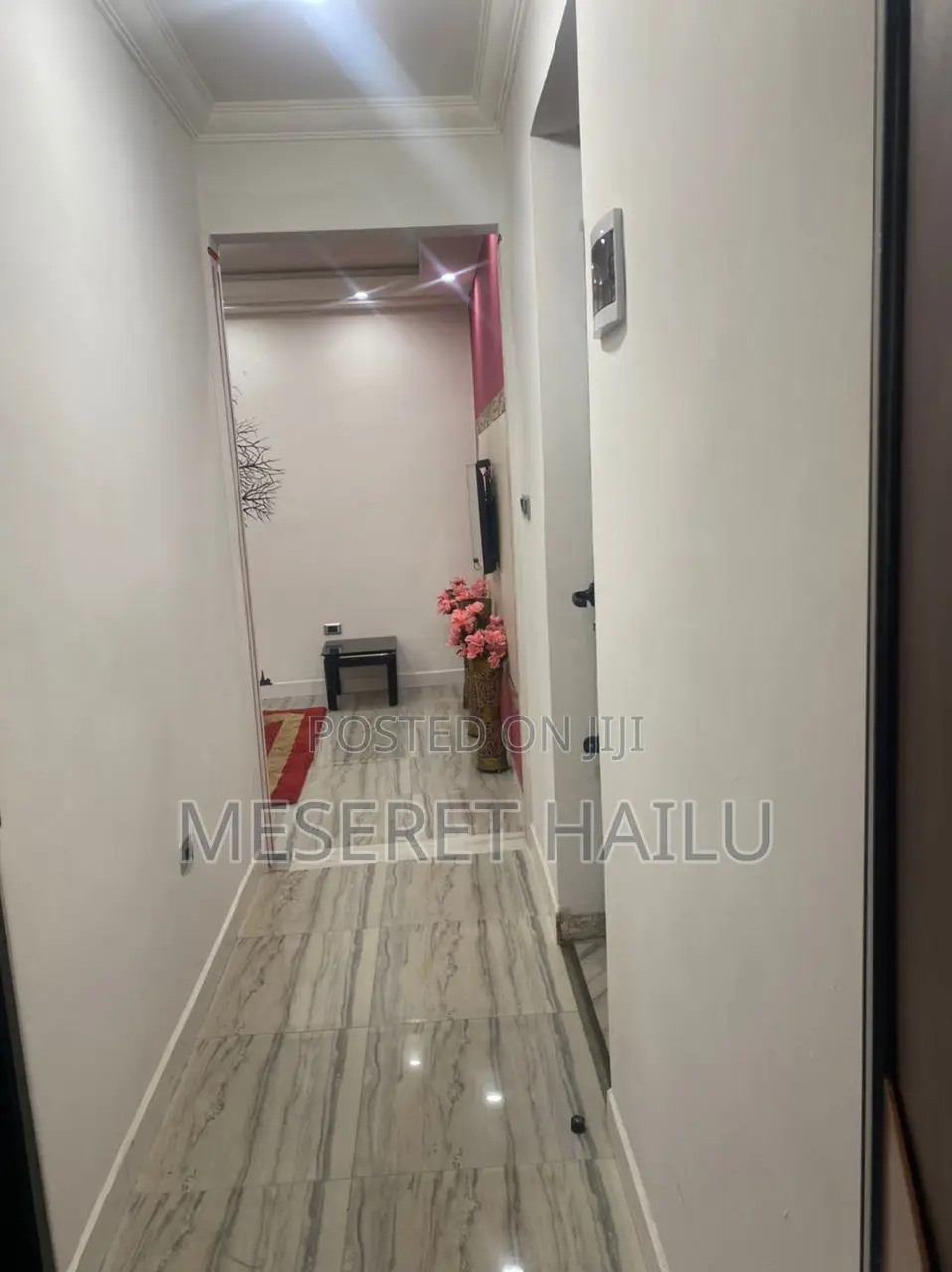Furnished 1bdrm Apartment in Bole Michael for rent
