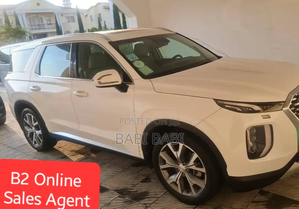Hyundai Palisade 2022 White