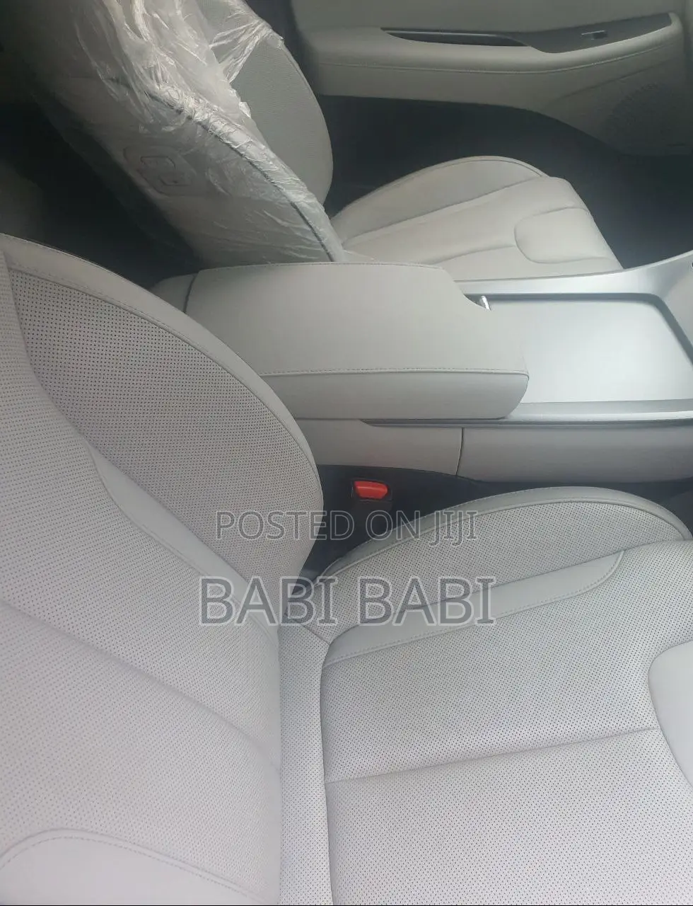 Hyundai Palisade 2022 White