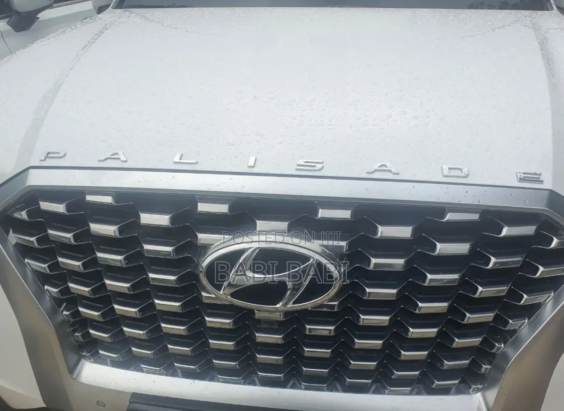 Hyundai Palisade 2022 White