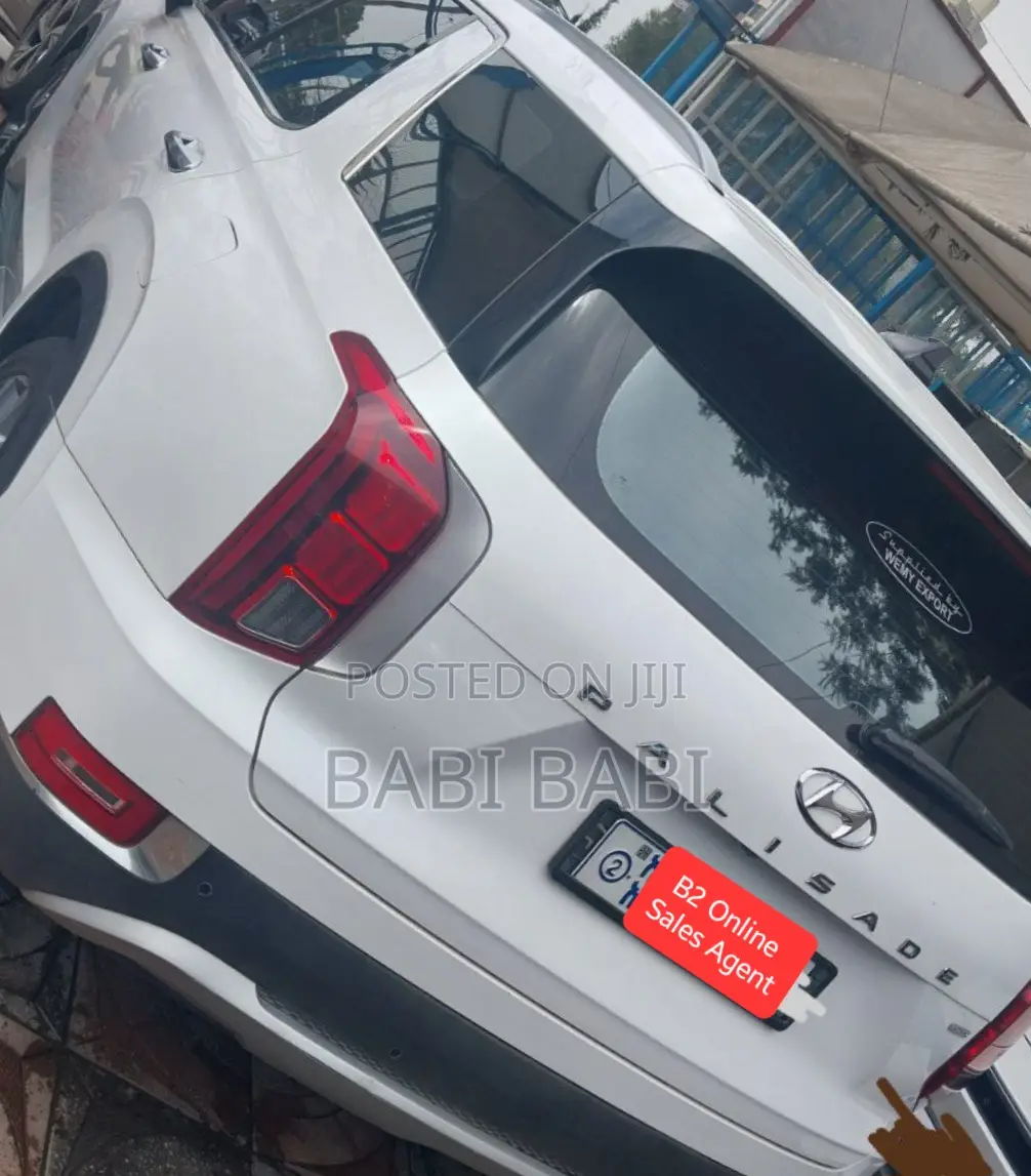 Hyundai Palisade 2022 White