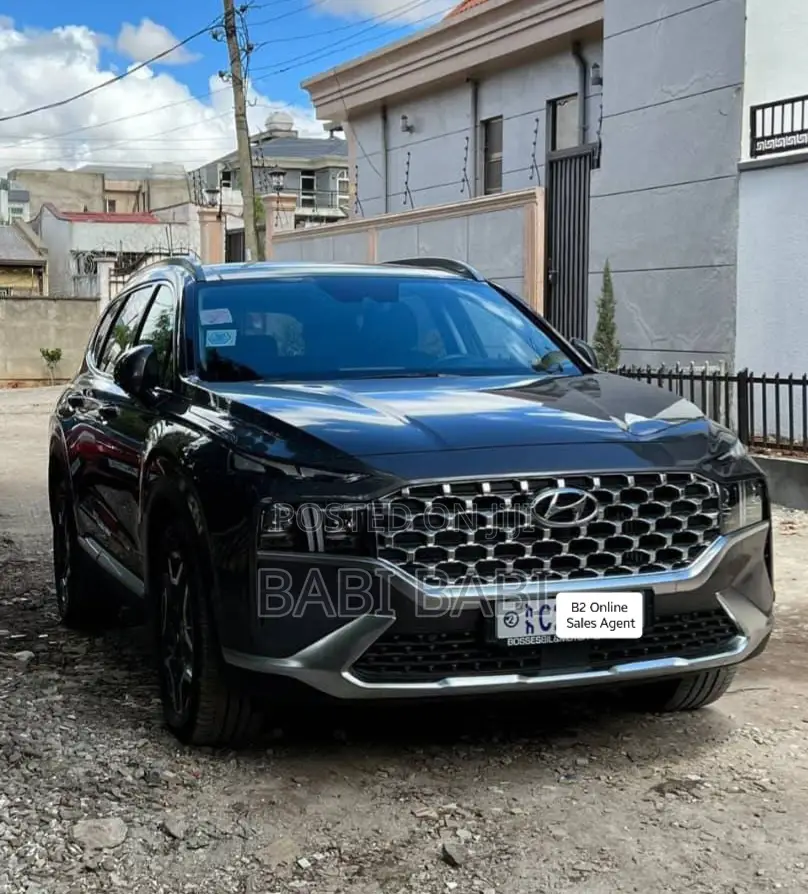 Hyundai Santa Fe 2020 Gray