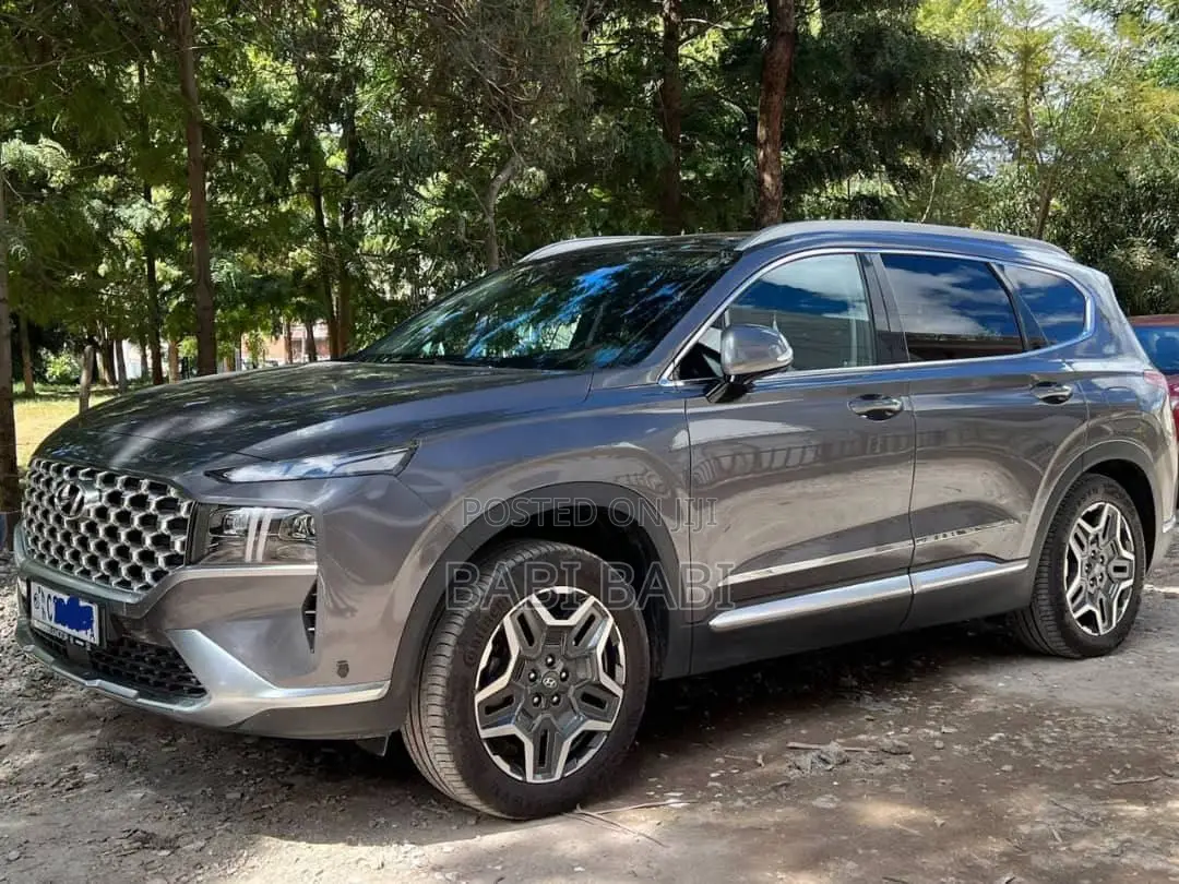 Hyundai Santa Fe 2020 Gray