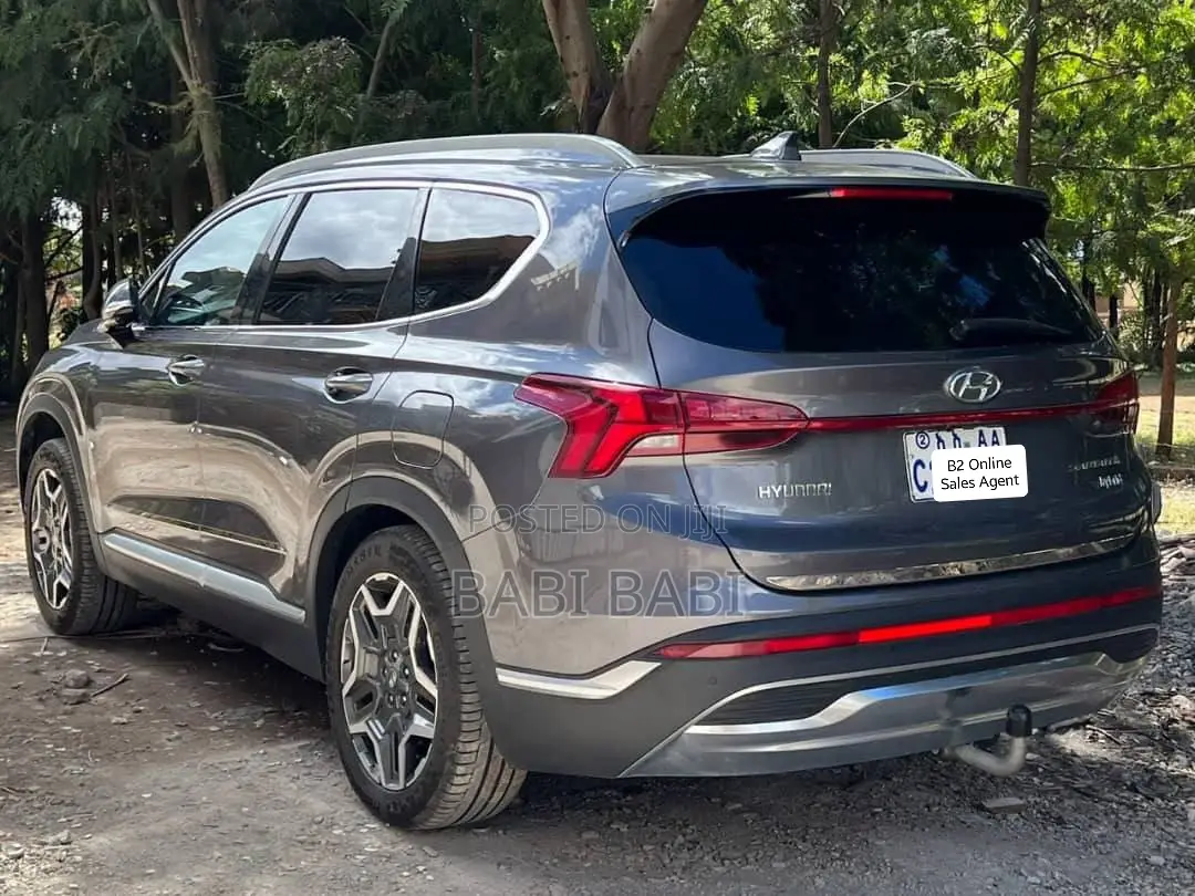Hyundai Santa Fe 2020 Gray