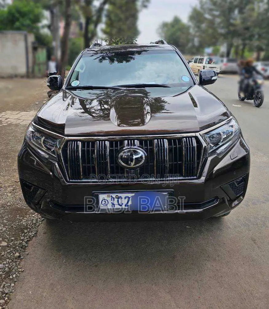 Toyota Land Cruiser Prado 2020 Brown
