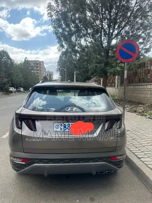 Hyundai Tucson 2021 Gray