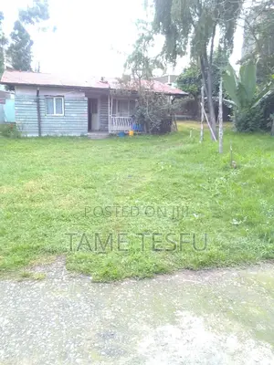 3bdrm House in Wosene, Yeka for sale