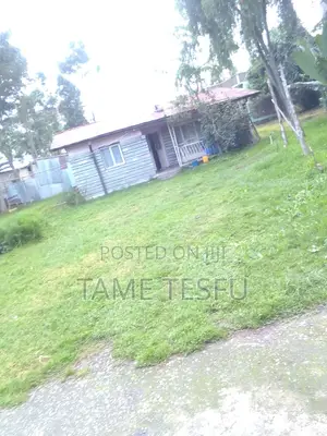 3bdrm House in Wosene, Yeka for sale