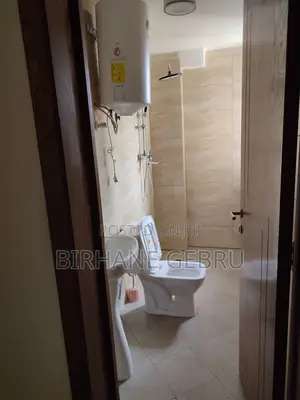 Furnished 2bdrm Apartment in Luxury Apartiment, Bole for rent