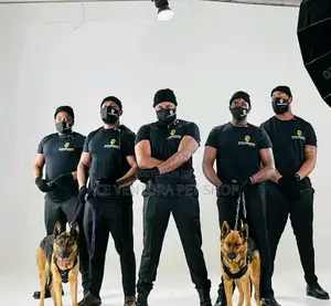 1-3 months Male Purebred German Shepherd