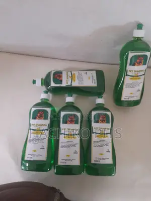 Photo - 0-1 month Male Purebred Chinese Shar-Pei