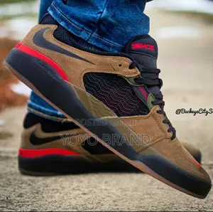 Nike Sb I Shod Fashion Shoes