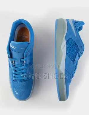 Nike Sb Ishod Flat Fashion Shoes