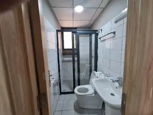 Furnished 3bdrm Apartment in Bole for rent