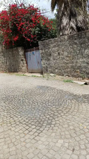 የሚሸጥ ቦታ 22 ዋና አስፓልት ላይ