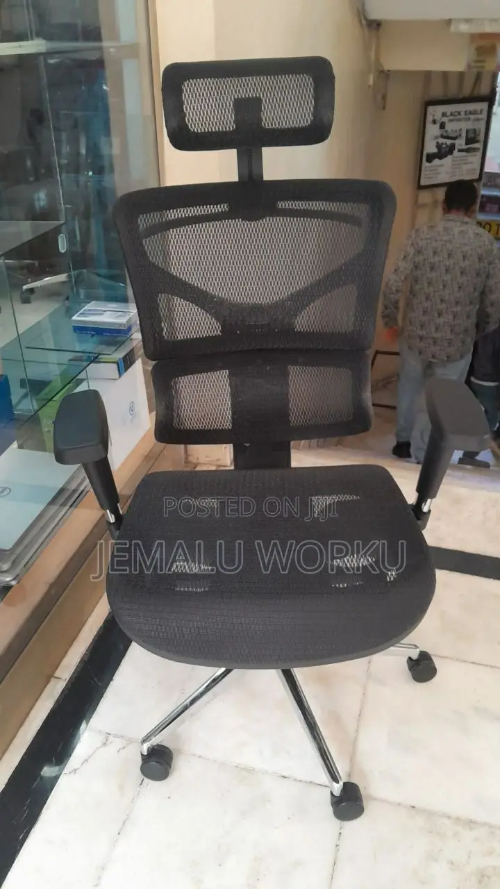 Ergonomic Chair