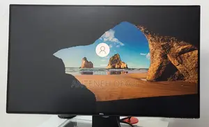 Dell Fremless Monitor