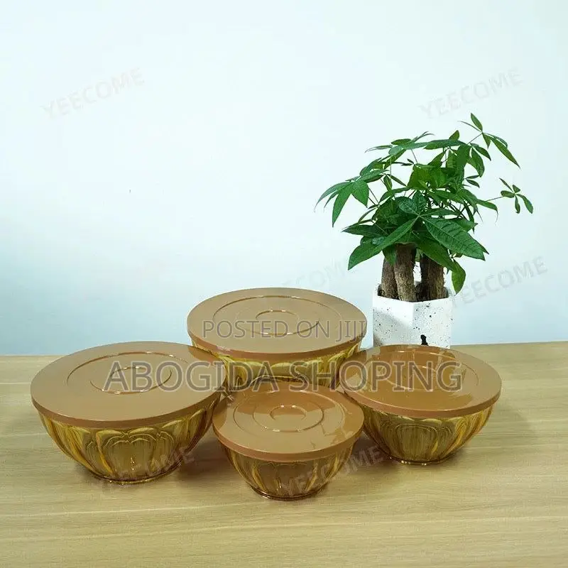 Storage Bowl 4pcs