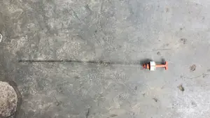 Photo - Cambio Lipstick(Ye Cambio Libelo)