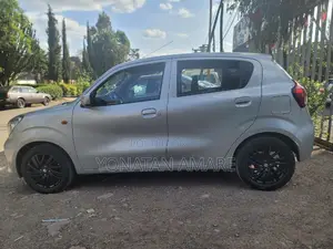 Suzuki Celerio 2019 Silver