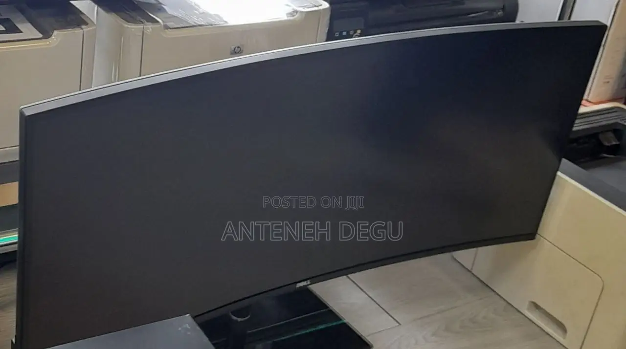 Dell Frameless Monitor