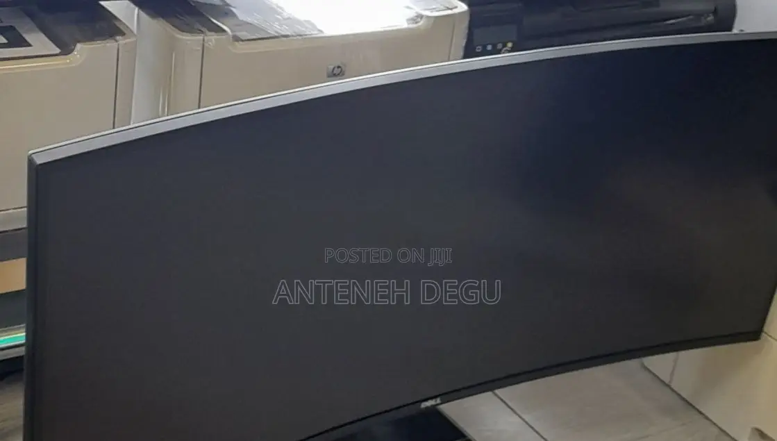 Dell Frameless Monitor