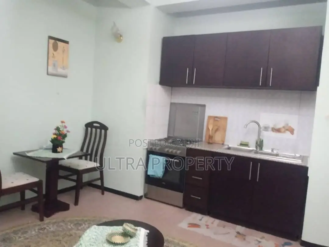 Furnished 1bdrm Apartment in Bole for rent
