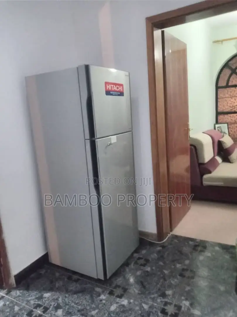 Furnished 1bdrm Apartment in Bole for rent