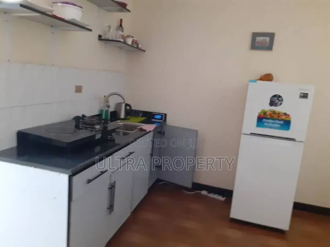 Furnished 1bdrm Apartment in Bole for rent