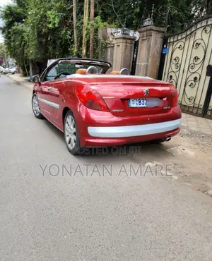 Peugeot 207 2009 Red