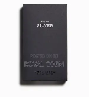 ZARA Man Silver Original Perfume