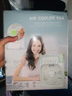 Dual Use Air Cooler Fan and Humidifier