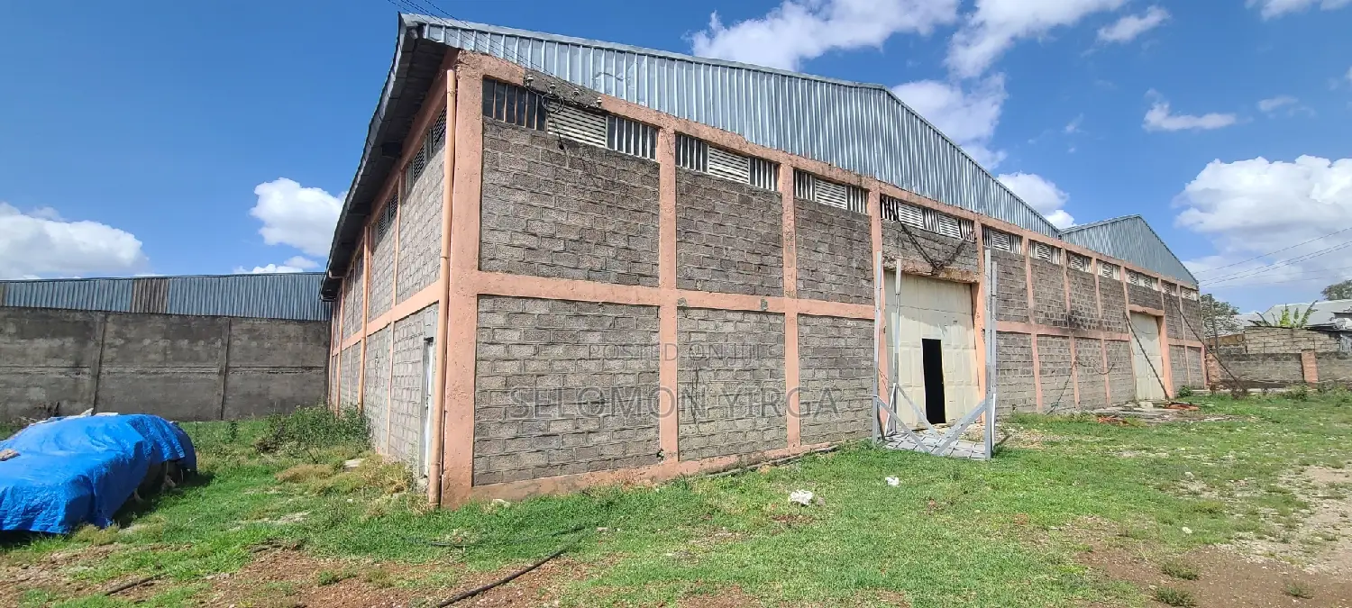 We Have a Warehouse for Rent