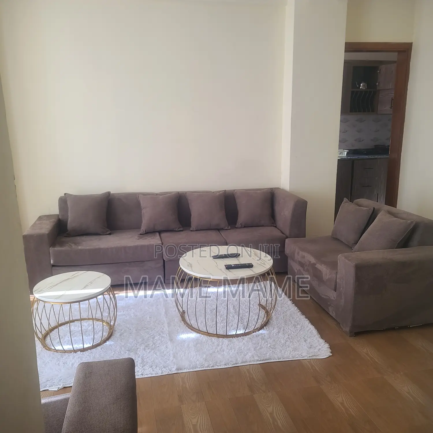 Furnished 1bdrm Apartment in Addis Abeba, Bole for rent