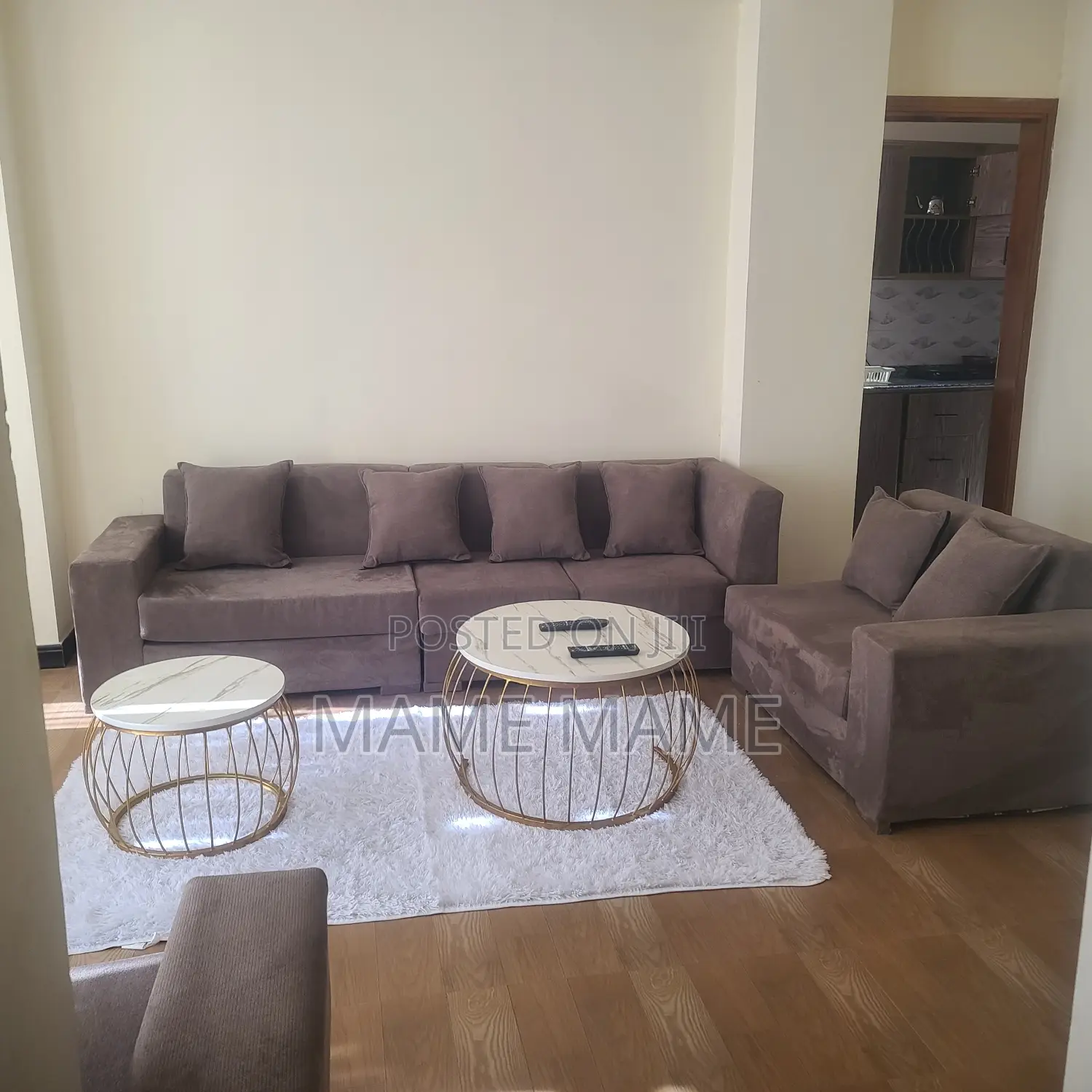 Furnished 1bdrm Apartment in Addis Abeba, Bole for rent