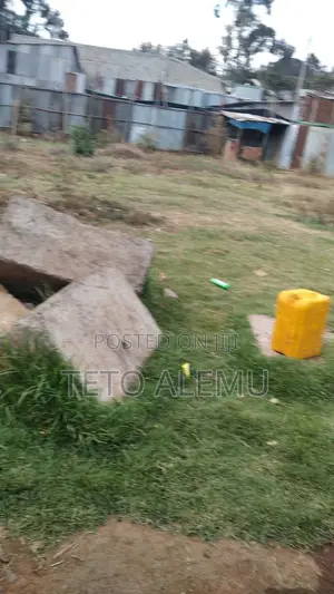 Photo - የሚሸጥ የድሮ ልማት ተነሽ ቦታ አያት