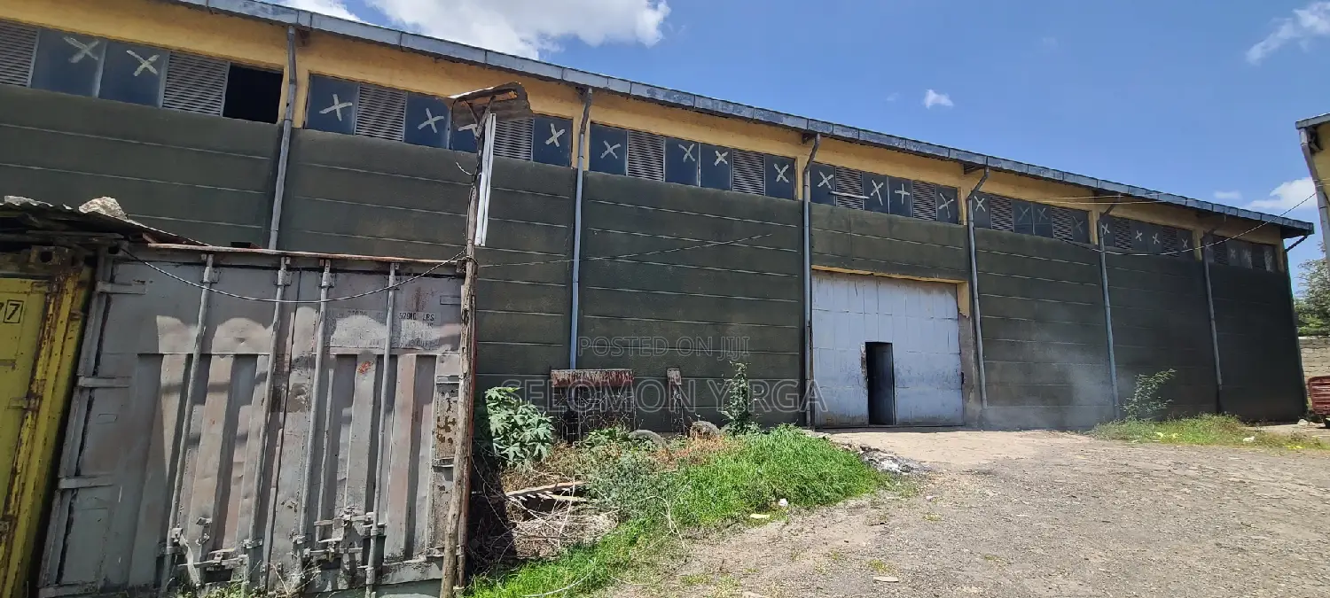 There Is a Warehouse