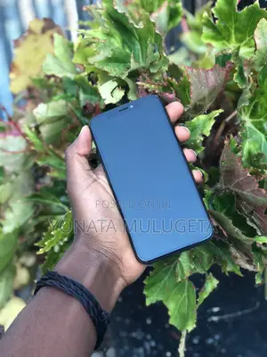 Apple iPhone X 256 GB Black