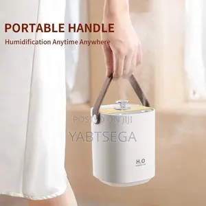Photo - H2O Double Spray Humidifier