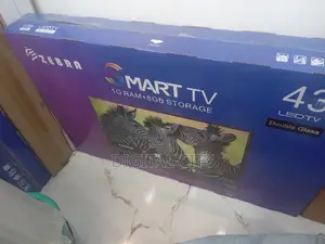 Zebra 43 Smart Tv
