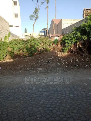 Photo - የሚሸጥ ቦታ ፌጋ