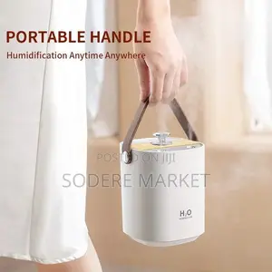 H2O Double Spray Humidifier